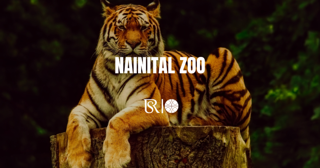 Nainital Zoo